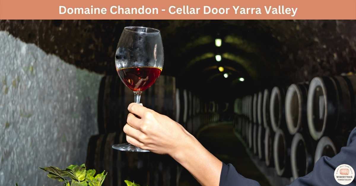 Domaine Chandon Cellar Door Yarra Valley Winery Tour Yarra Valley